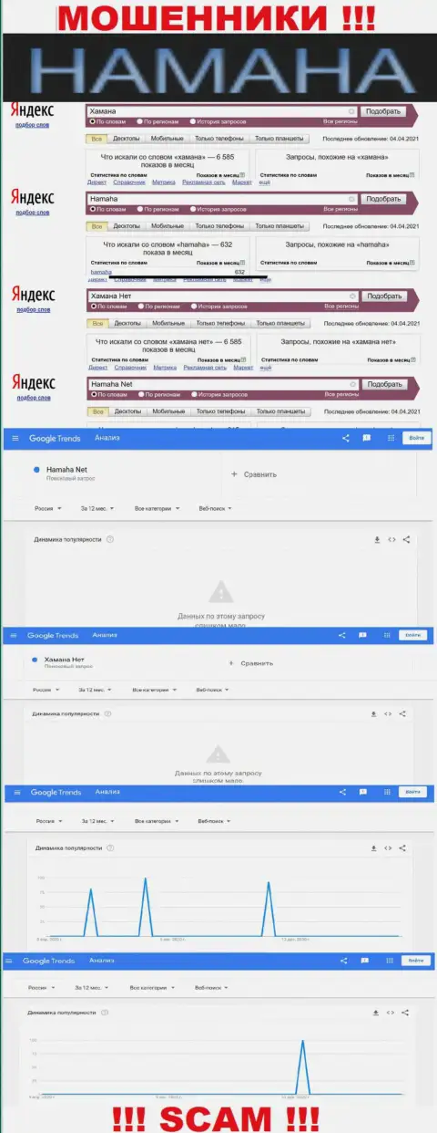 Online запросы по бренду мошенников Hamaha в поисковиках всемирной сети internet