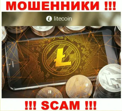 Иметь дело с LiteCoin слишком рискованно, т.к. их сфера деятельности Криптовалютный сервис - это разводняк