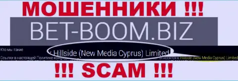 Юридическим лицом, владеющим интернет шулерами Bet Boom Biz, является Хиллсиде (Нью Медиа Кипр) Лтд