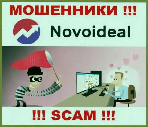 Не стоит верить NovoIdeal - сохраните собственные денежные активы