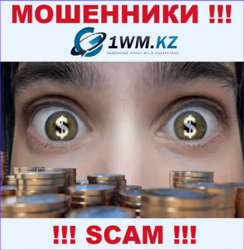 На онлайн-сервисе мошенников 1 WM Kz нет ни намека об регулирующем органе указанной организации !
