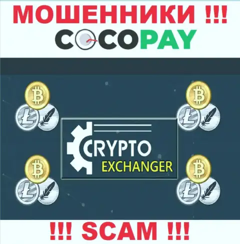 Coco Pay - это циничные интернет мошенники, тип деятельности которых - Интернет обменник