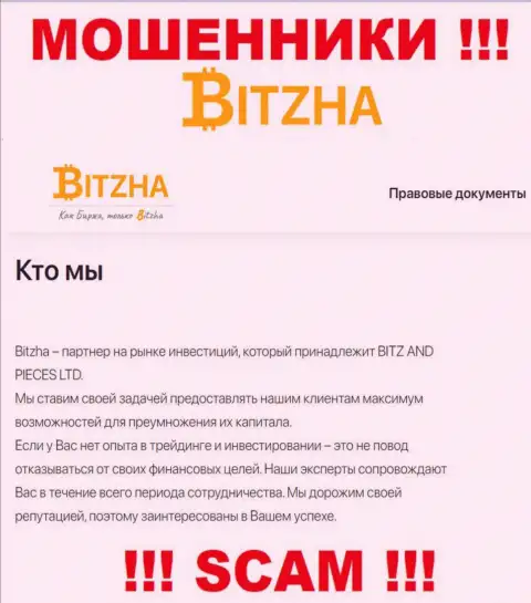 Bitzha24 - это наглые мошенники, тип деятельности которых - Инвестирование