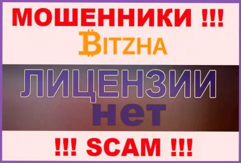 Мошенникам Bitzha24 Com не выдали лицензию на осуществление деятельности - сливают средства